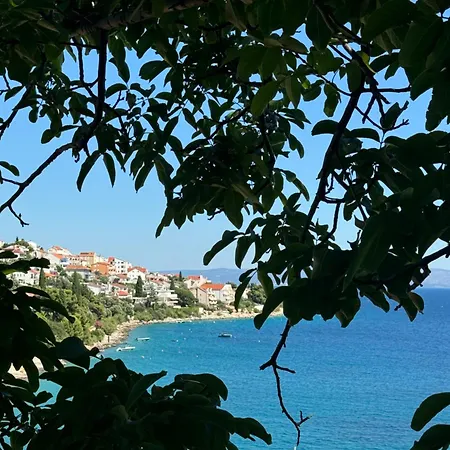 Bella * Τρογκίρ